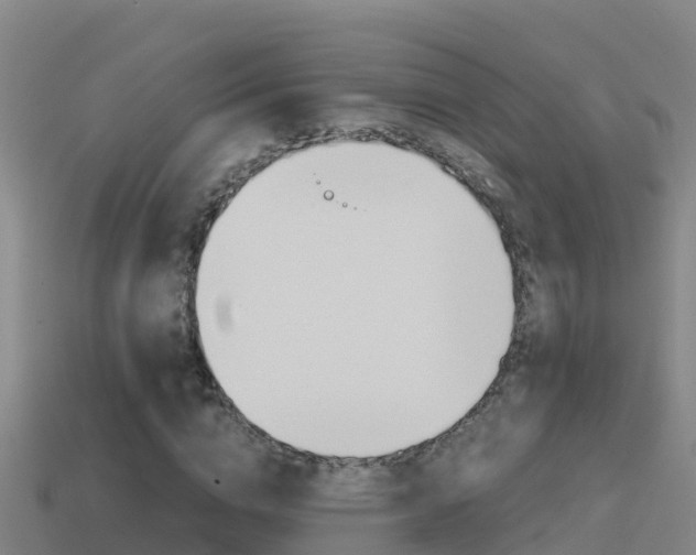 X0000114620824200910201000