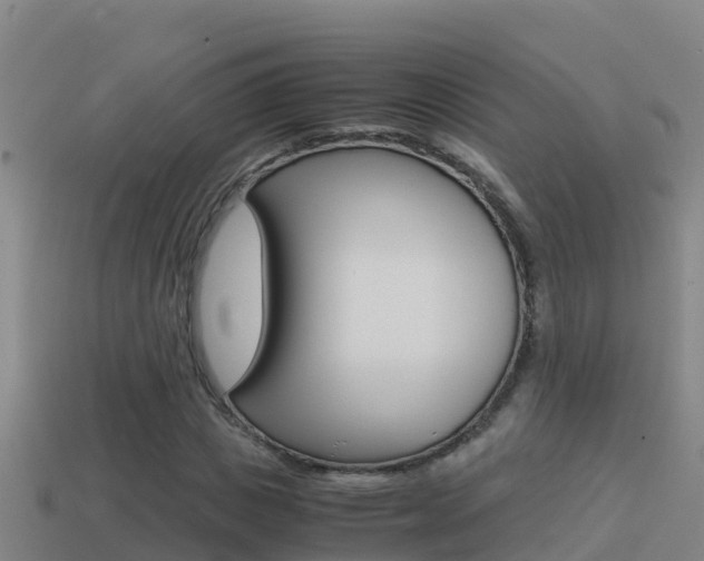 X0000114620825200910201000