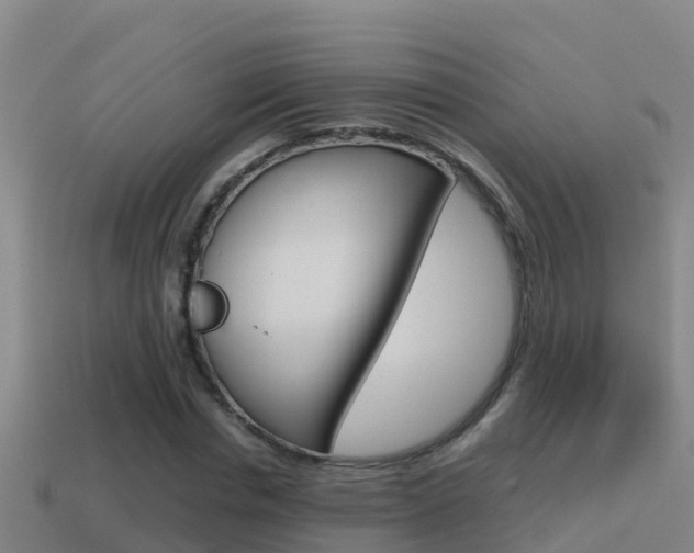 X0000114620826200910201000