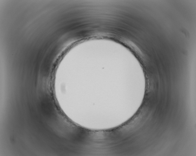 X0000114620828200910201000