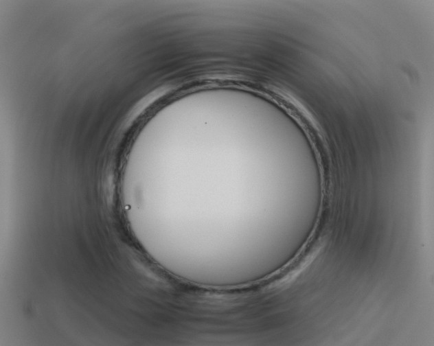 X0000114620829200910201000