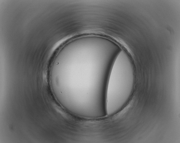 X0000114620830200910201000