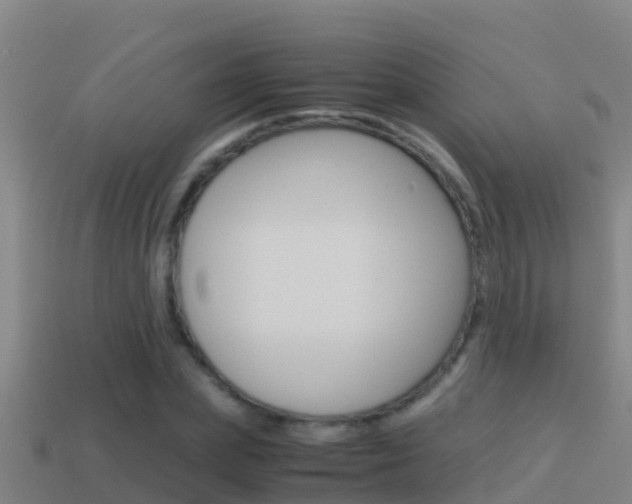 X0000114620831200910201000