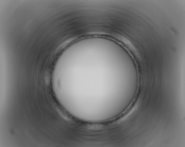 X0000114620833200910201000