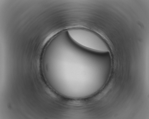 X0000114620834200910201000