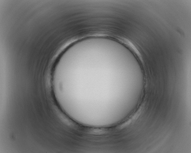X0000114620835200910201000