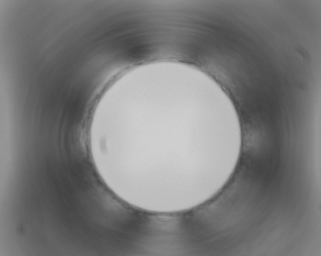 X0000114620836200910201000