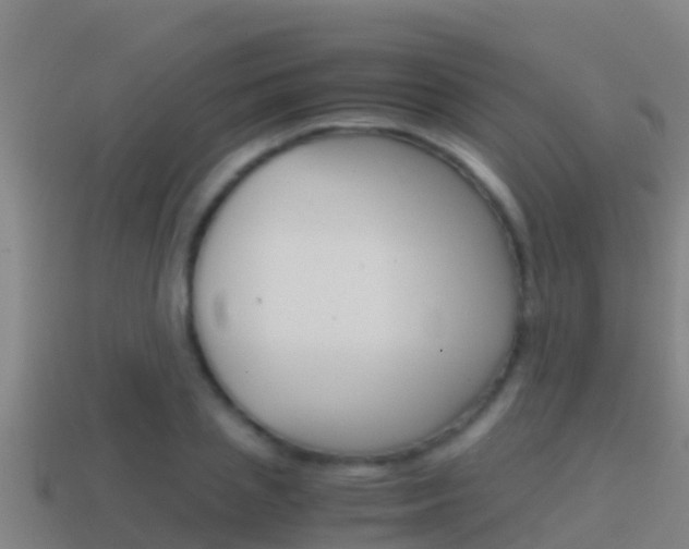 X0000114620837200910201000