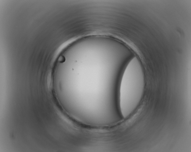 X0000114620838200910201000
