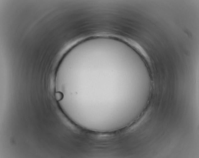 X0000114620839200910201000