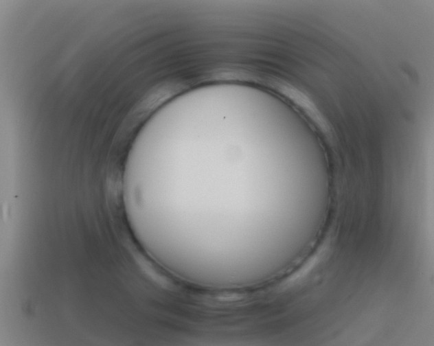 X0000114620841200910201000