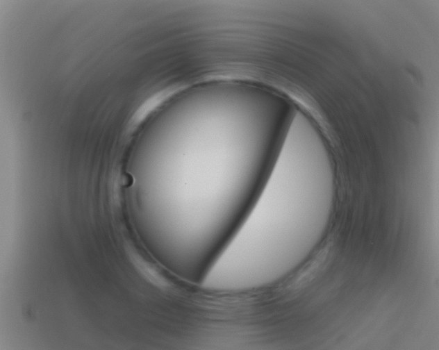 X0000114620842200910201000