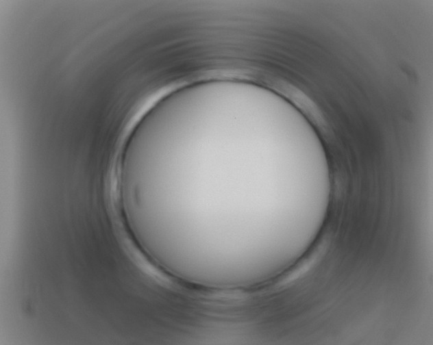 X0000114620844200910201000