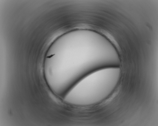 X0000114620845200910201000