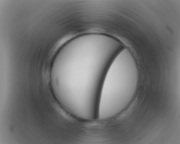 X0000114620846200910201000