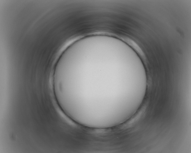 X0000114620847200910201000