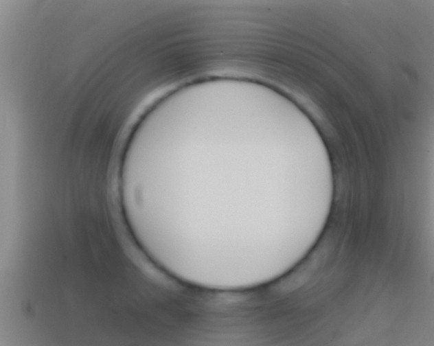 X0000114620848200910201000