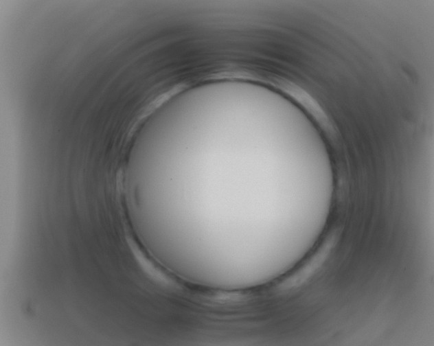 X0000114620849200910201000