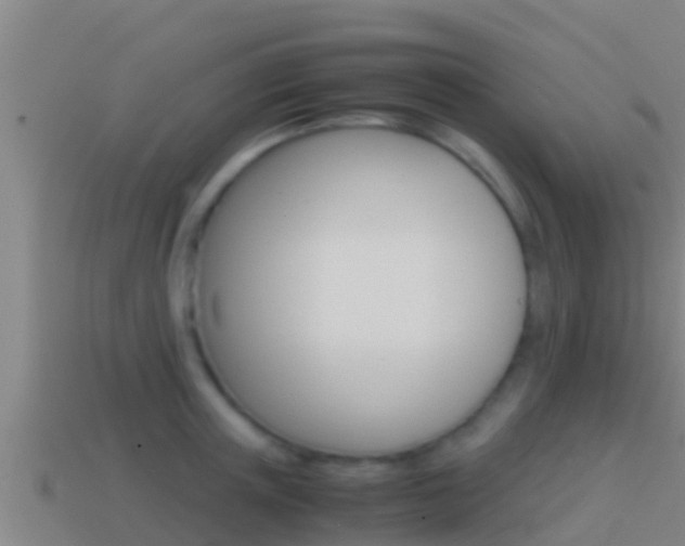 X0000114620851200910201000