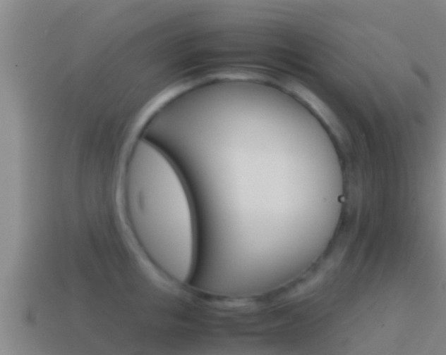 X0000114620853200910201000