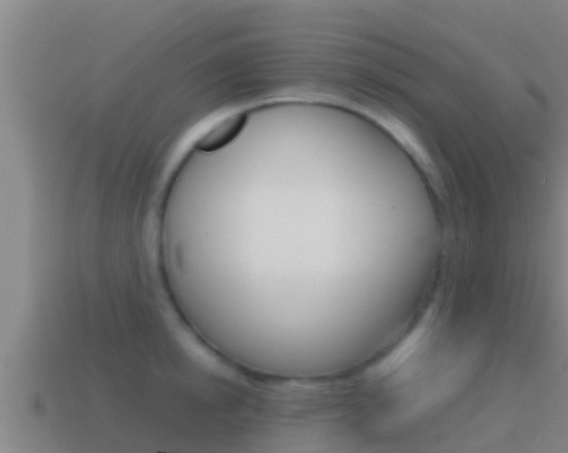 X0000114620854200910201000