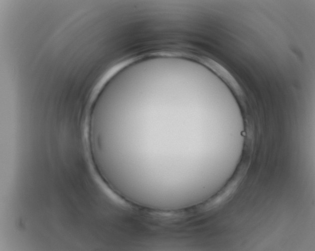 X0000114620855200910201000