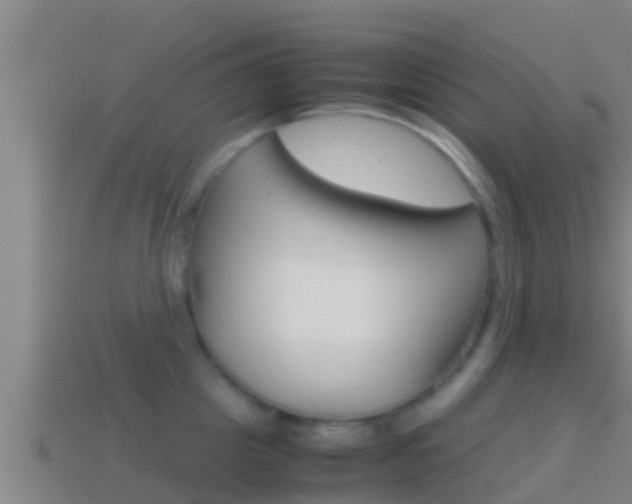 X0000114620857200910201000