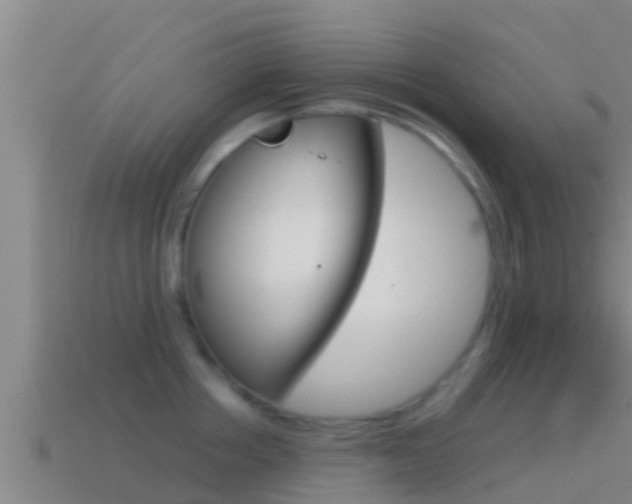 X0000114620858200910201000
