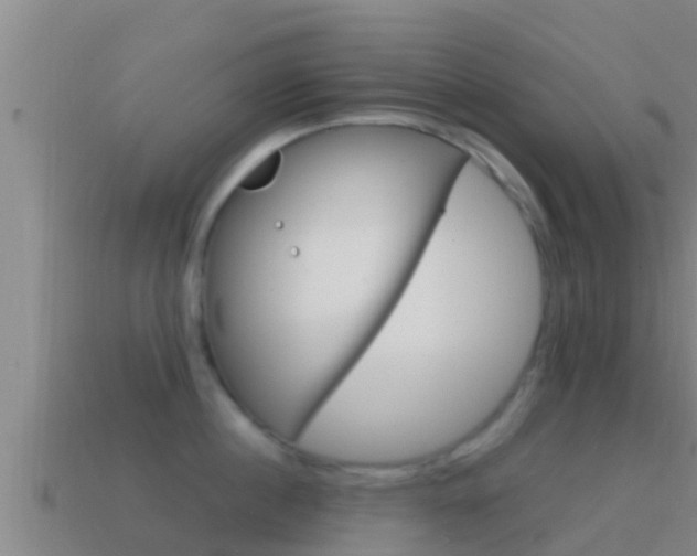 X0000114620860200910201000