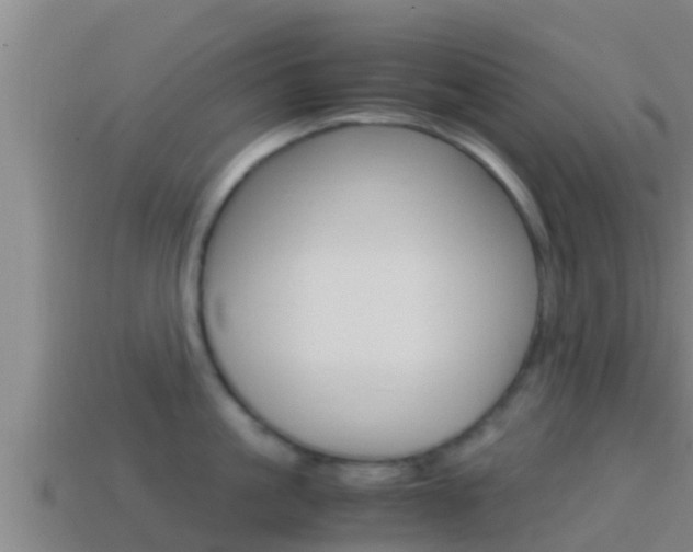 X0000114620861200910201000
