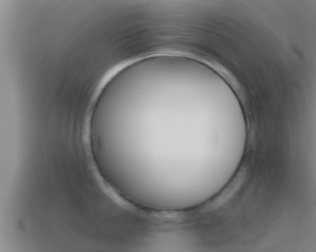 X0000114620862200910201000