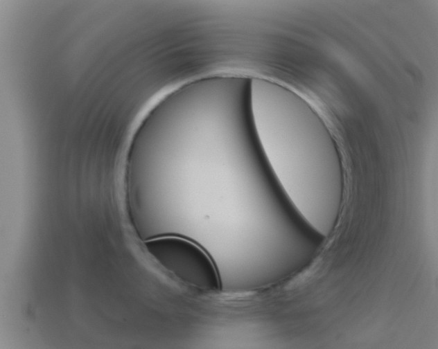 X0000114620864200910201000