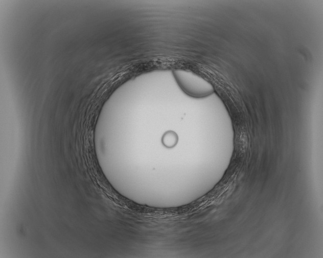 X0000114620865200910200959