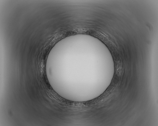 X0000114620866200910200959