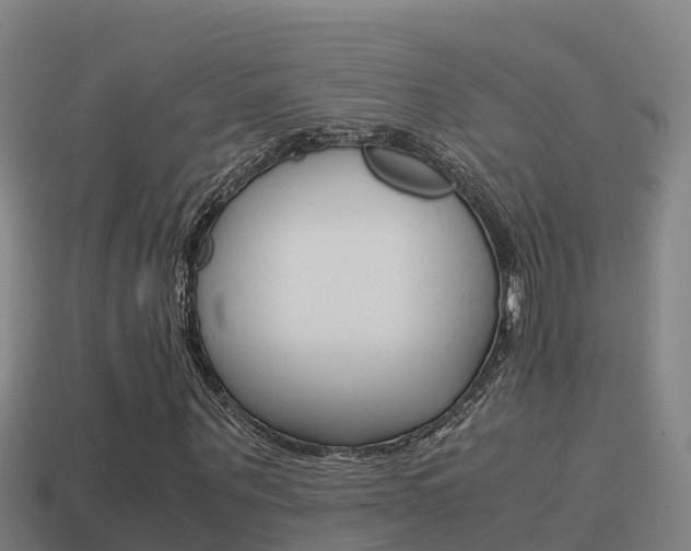 X0000114620867200910200959