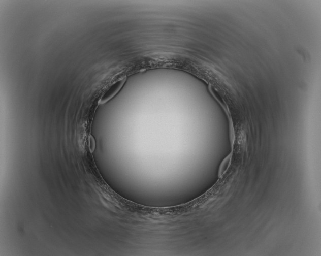 X0000114620868200910200959