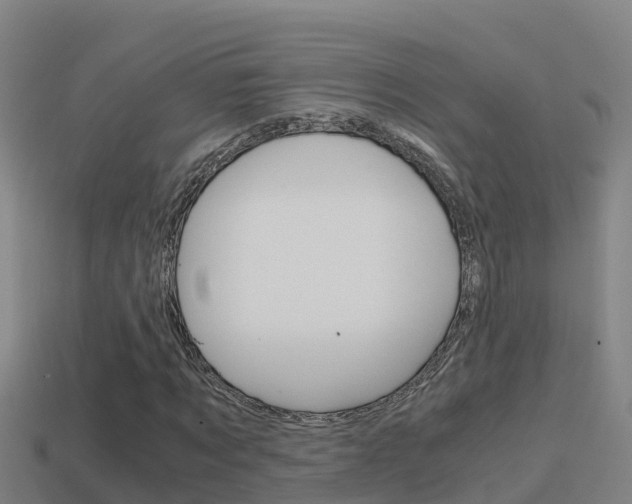 X0000114620869200910200959