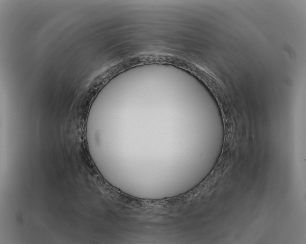 X0000114620870200910200959