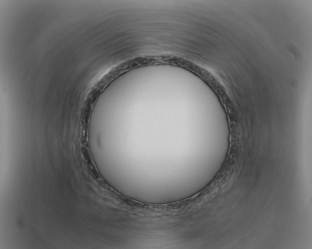 X0000114620871200910200959