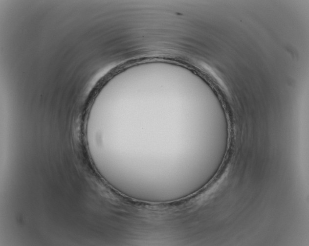 X0000114620875200910200959
