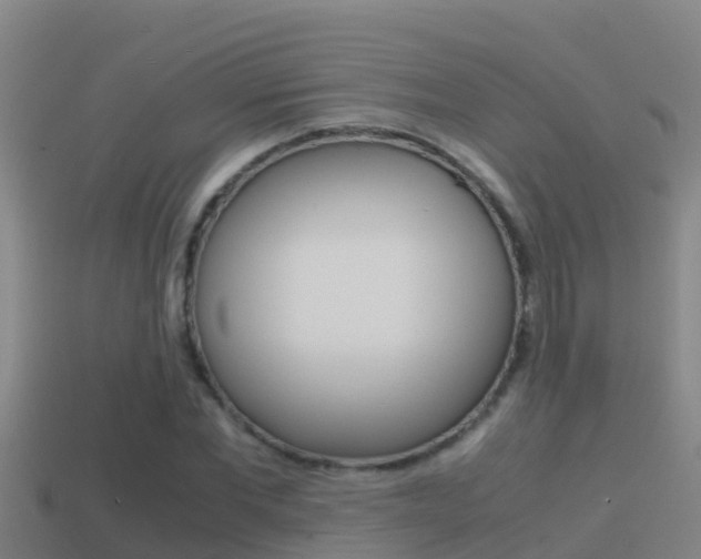 X0000114620877200910200959