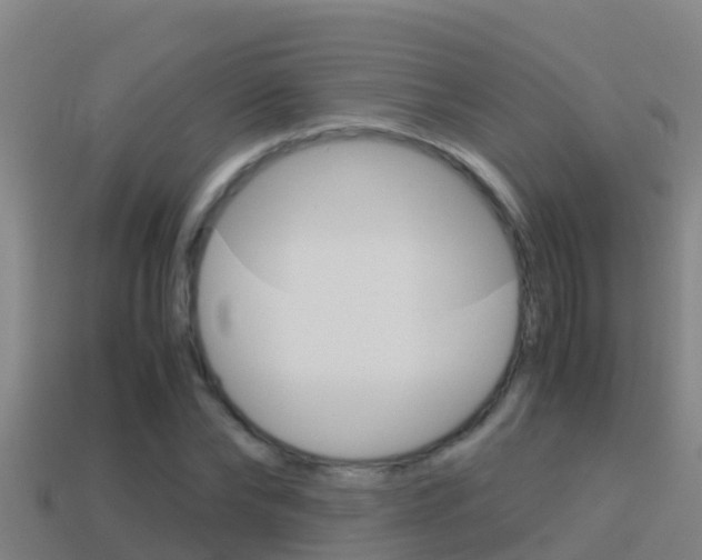 X0000114620878200910200959