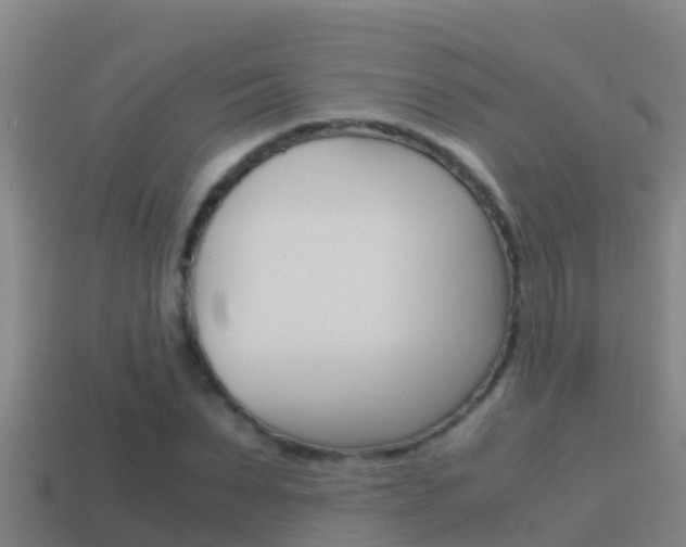 X0000114620879200910200959