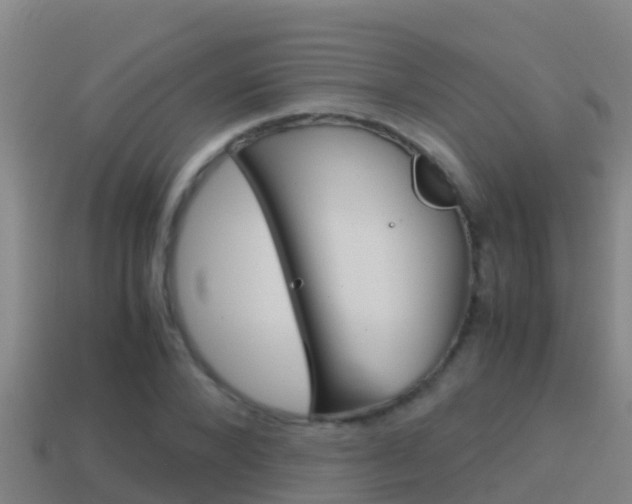 X0000114620880200910200959