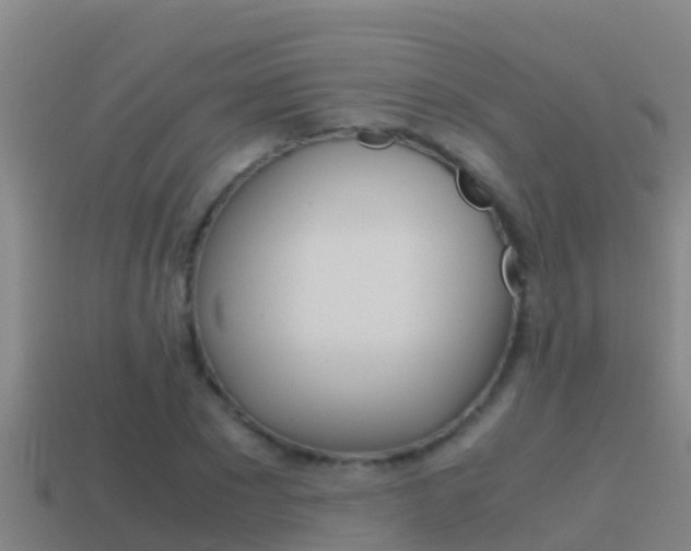 X0000114620881200910200959