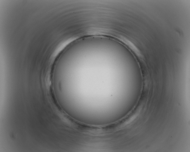 X0000114620885200910200959