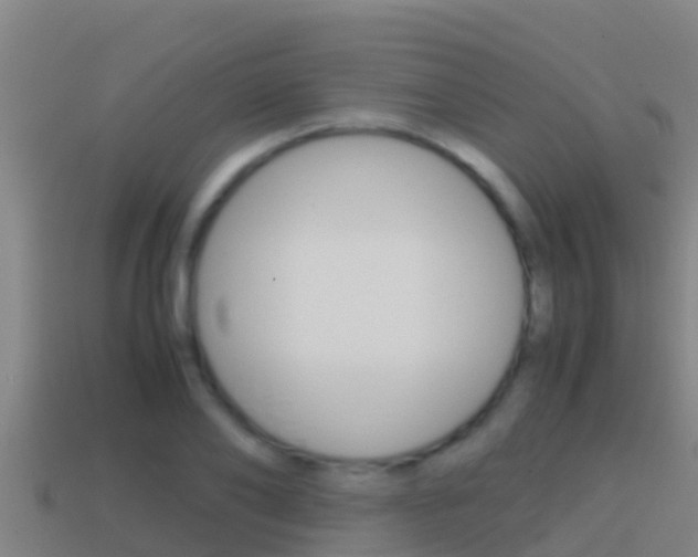 X0000114620886200910200959