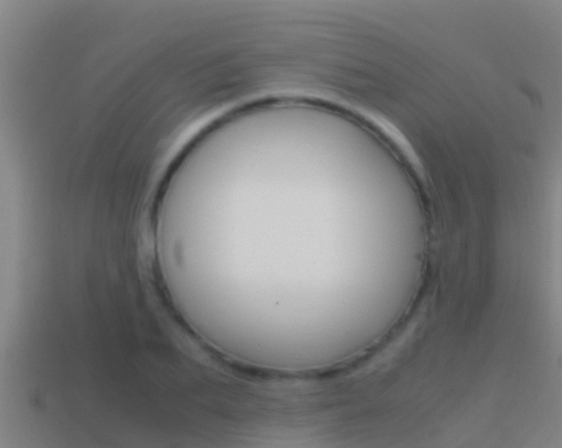 X0000114620887200910200959