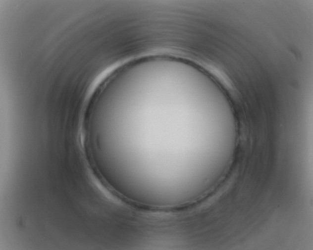 X0000114620888200910200959