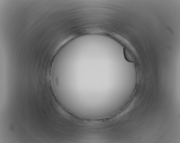 X0000114620889200910200959